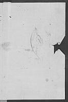 PF XII 0317
